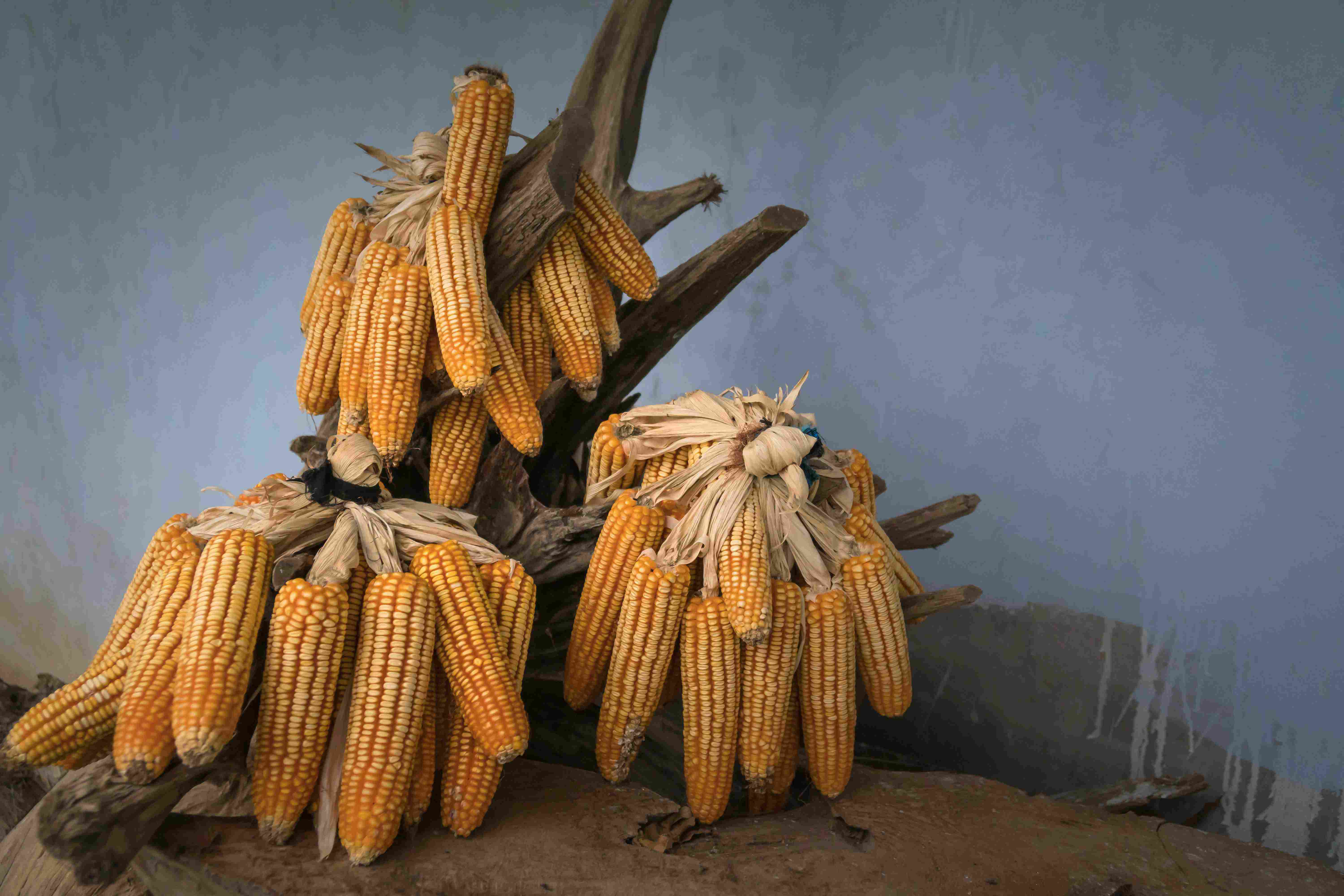 This Leader in Organic Agriculture Growth